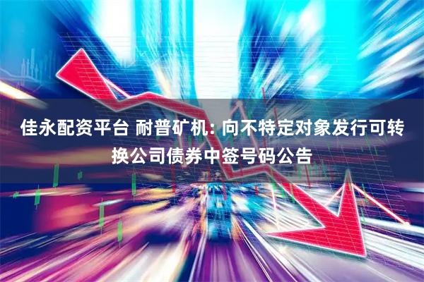 佳永配资平台 耐普矿机: 向不特定对象发行可转换公司债券中签号码公告