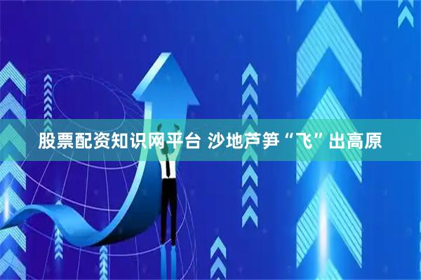股票配资知识网平台 沙地芦笋“飞”出高原